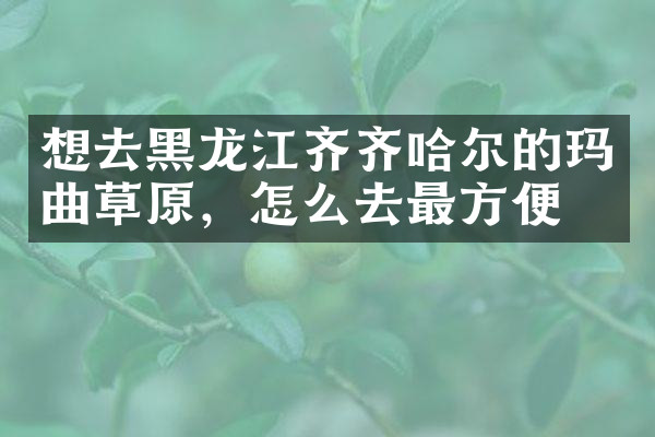 想去黑龙江齐齐哈尔的玛曲草原，怎么去最方便
