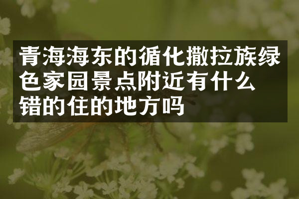 青海海东的循化撒拉族绿色家园景点附近有什么不错的住的地方吗