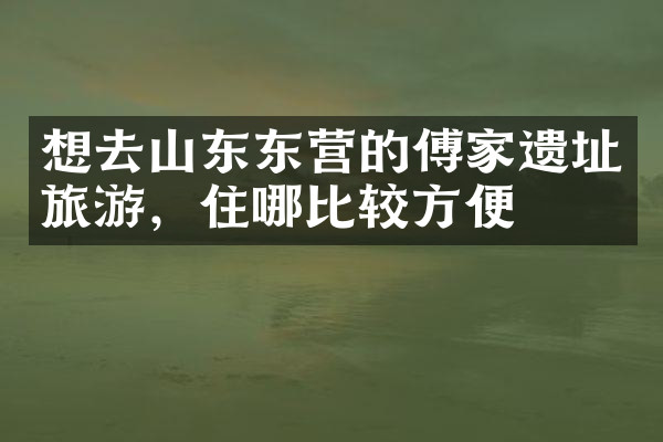 想去山东东营的傅家遗址旅游，住哪比较方便
