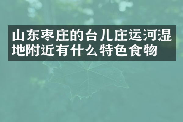 山东枣庄的台儿庄运河湿地附近有什么特色食物吗
