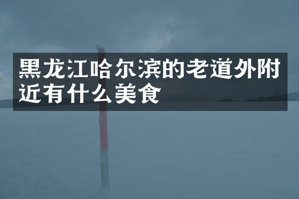 黑龙江哈尔滨的老道外附近有什么美食