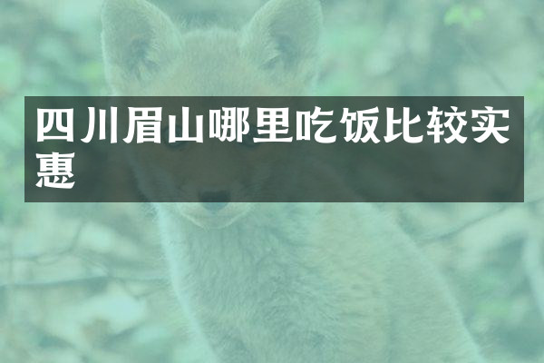 四川眉山哪里吃饭比较实惠
