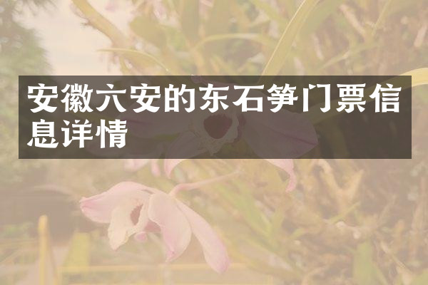 安徽六安的东石笋门票信息详情