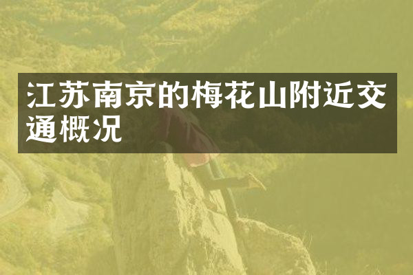 江苏南京的梅花山附近交通概况