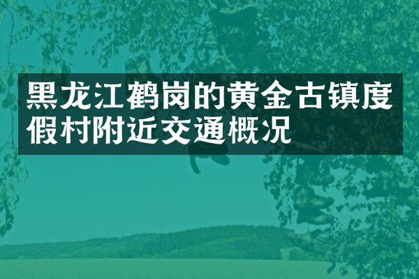 黑龙江鹤岗的黄金古镇度假村附近交通概况