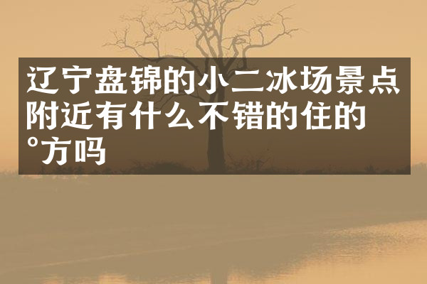 辽宁盘锦的小二冰场景点附近有什么不错的住的地方吗