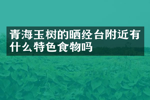 青海玉树的晒经台附近有什么特色食物吗
