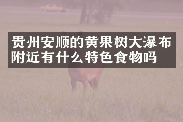 贵州安顺的黄果树大瀑布附近有什么特色食物吗