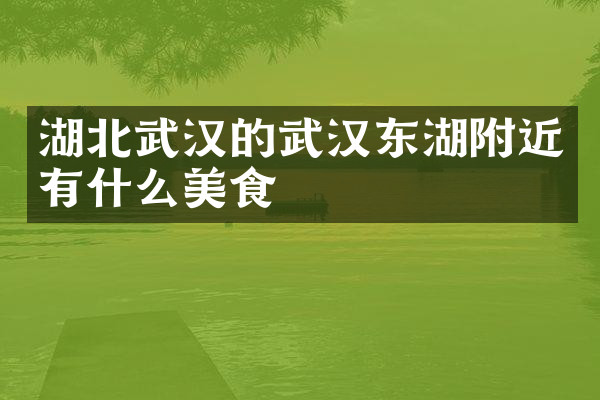 湖北武汉的武汉东湖附近有什么美食