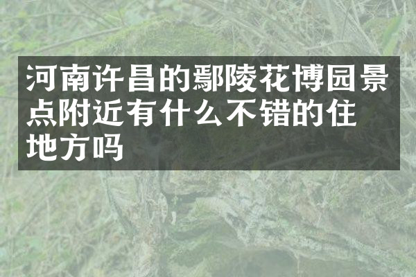 河南许昌的鄢陵花博园景点附近有什么不错的住的地方吗
