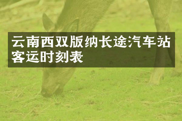 云南西双版纳长途汽车站客运时刻表