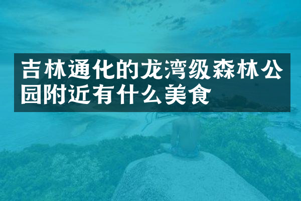 吉林通化的龙湾级森林公园附近有什么美食