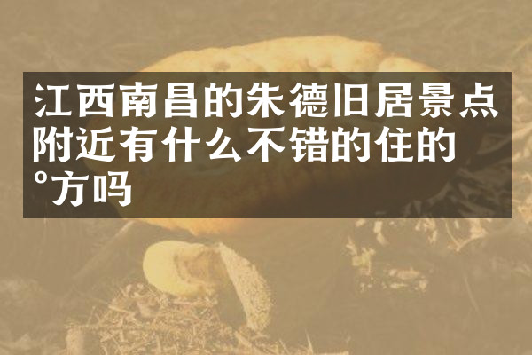 江西南昌的朱德旧居景点附近有什么不错的住的地方吗