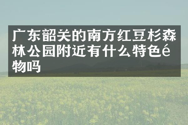 广东韶关的南方红豆杉森林公园附近有什么特色食物吗