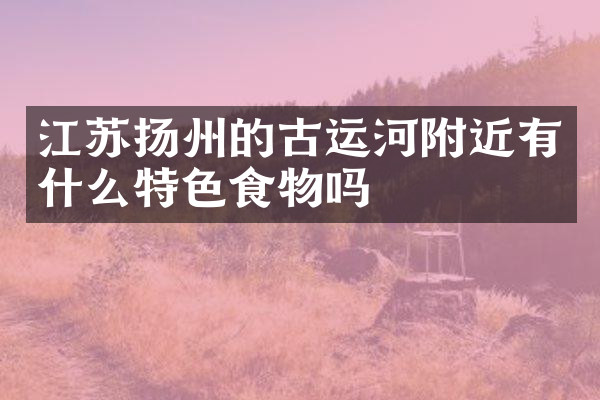 江苏扬州的古运河附近有什么特色食物吗