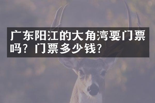 广东阳江的大角湾要门票吗？门票多少钱？
