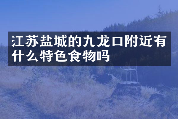 江苏盐城的九龙口附近有什么特色食物吗