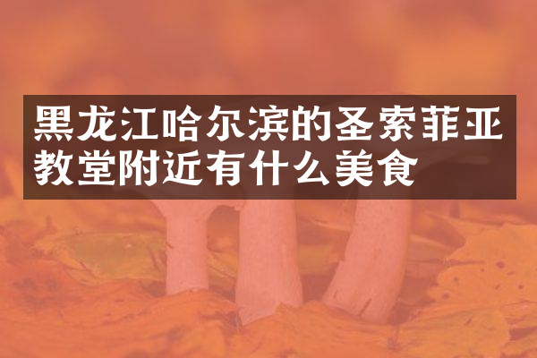 黑龙江哈尔滨的圣索菲亚教堂附近有什么美食