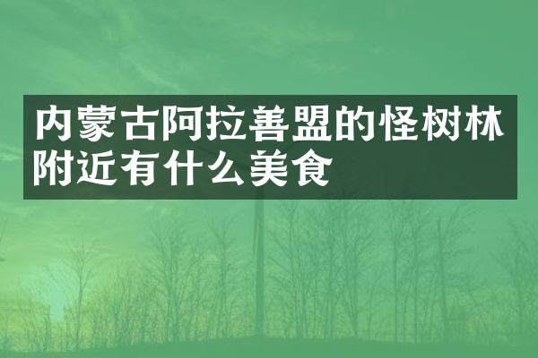 内蒙古阿拉善盟的怪树林附近有什么美食
