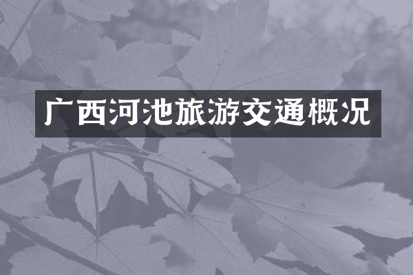 广西河池旅游交通概况