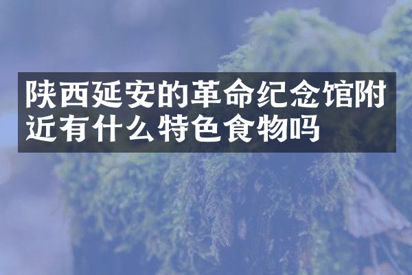 陕西延安的革命纪念馆附近有什么特色食物吗