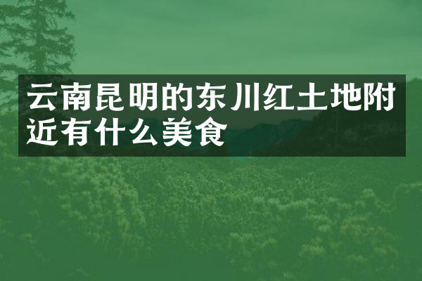 云南昆明的东川红土地附近有什么美食