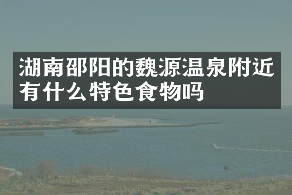 湖南邵阳的魏源温泉附近有什么特色食物吗