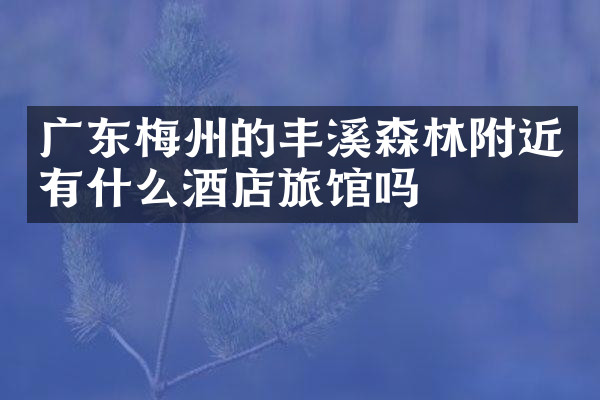 广东梅州的丰溪森林附近有什么酒店旅馆吗