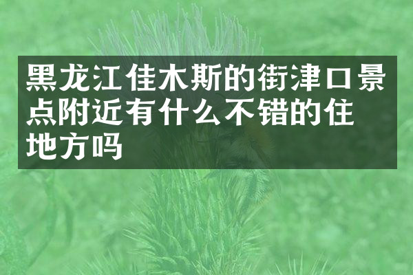 黑龙江佳木斯的街津口景点附近有什么不错的住的地方吗