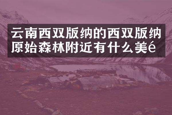 云南西双版纳的西双版纳原始森林附近有什么美食