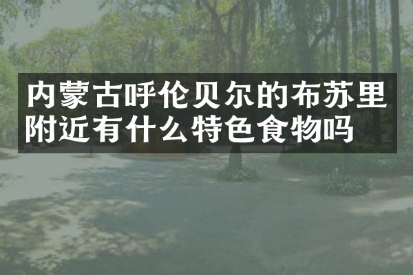 内蒙古呼伦贝尔的布苏里附近有什么特色食物吗