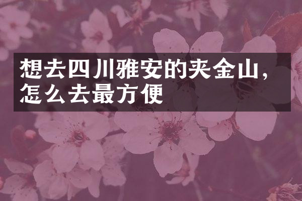 想去四川雅安的夹金山，怎么去最方便