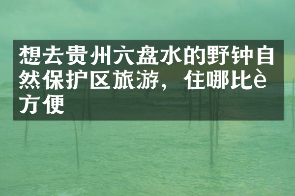 想去贵州六盘水的野钟自然保护区旅游，住哪比较方便
