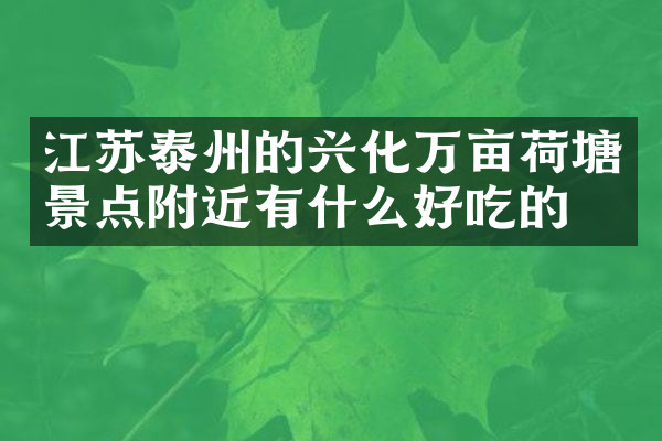 江苏泰州的兴化万亩荷塘景点附近有什么好吃的