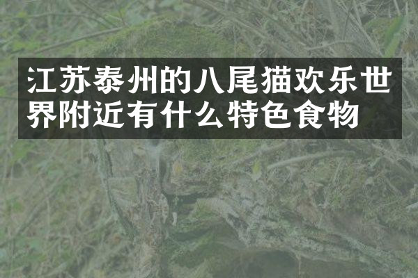 江苏泰州的八尾猫欢乐世界附近有什么特色食物吗