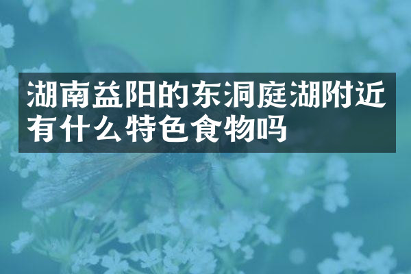 湖南益阳的东洞庭湖附近有什么特色食物吗