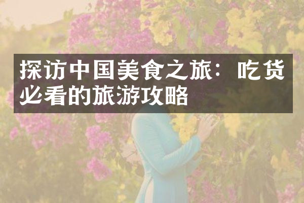 探访中国美食之旅：吃货必看的旅游攻略