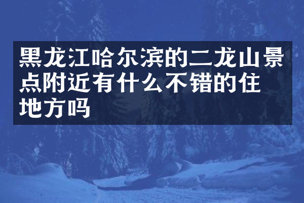 黑龙江哈尔滨的二龙山景点附近有什么不错的住的地方吗
