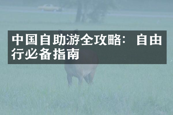 中国自助游全攻略：自由行必备指南