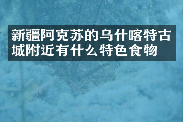 新疆阿克苏的乌什喀特古城附近有什么特色食物吗