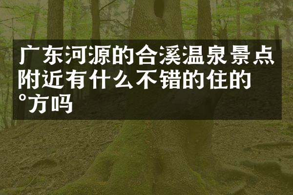 广东河源的合溪温泉景点附近有什么不错的住的地方吗