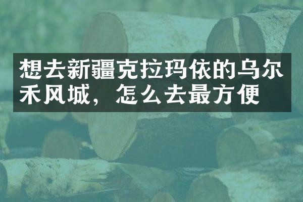 想去新疆克拉玛依的乌尔禾风城，怎么去最方便