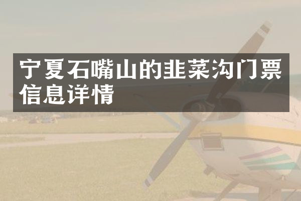 宁夏石嘴山的韭菜沟门票信息详情