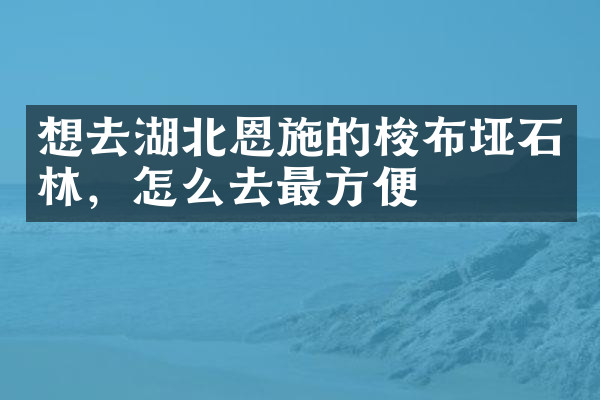 想去湖北恩施的梭布垭石林，怎么去最方便