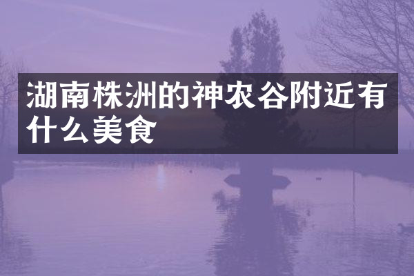 湖南株洲的神农谷附近有什么美食