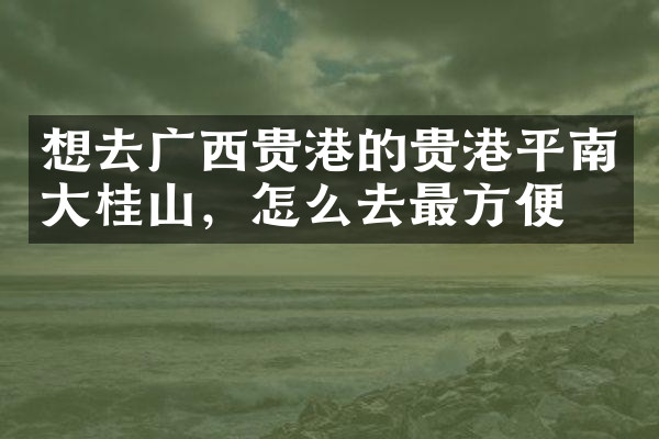 想去广西贵港的贵港平南大桂山，怎么去最方便