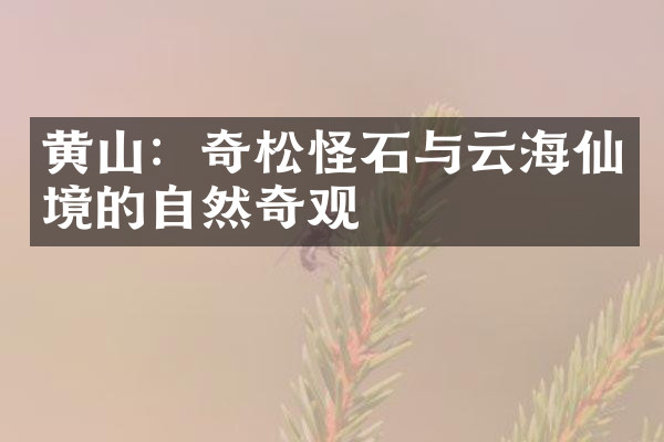 黄山：奇松怪石与云海仙境的自然奇观