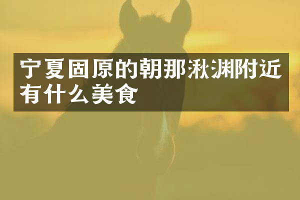 宁夏固原的朝那湫渊附近有什么美食
