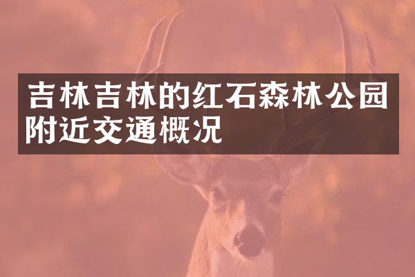 吉林吉林的红石森林公园附近交通概况