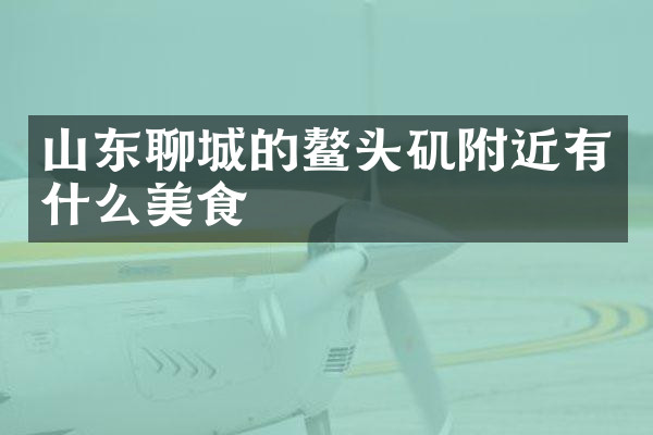 山东聊城的鳌头矶附近有什么美食